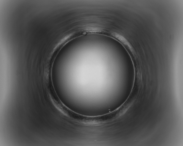 X0000086730533200704201648