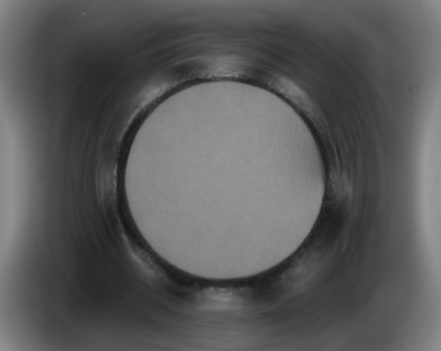 X0000086730534200704201648