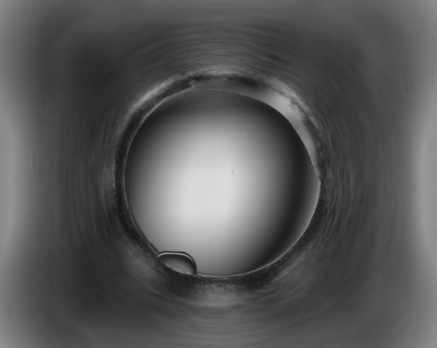 X0000086730535200704201648