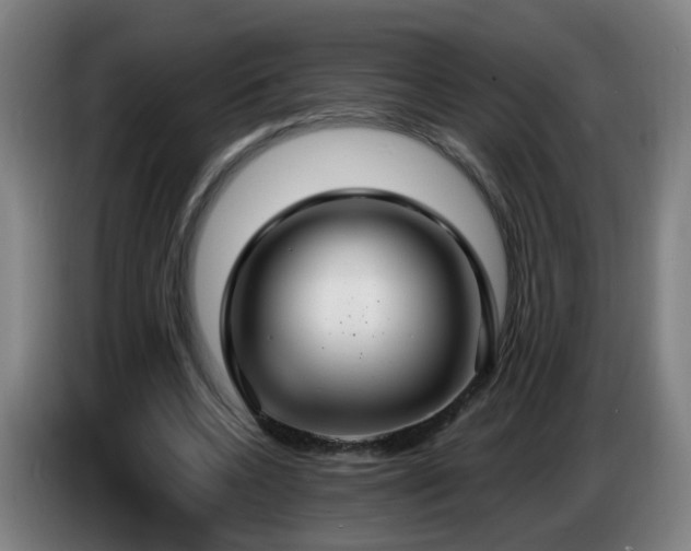 X0000086730536200704201648