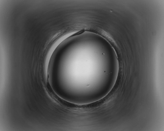 X0000086730538200704201648