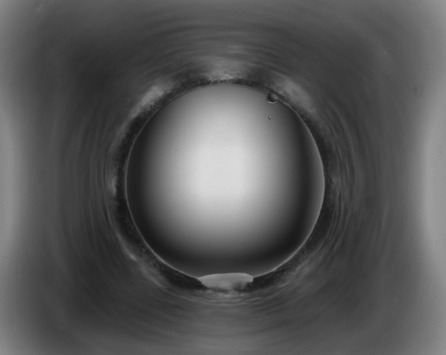 X0000086730539200704201648