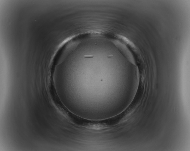 X0000086730540200704201648