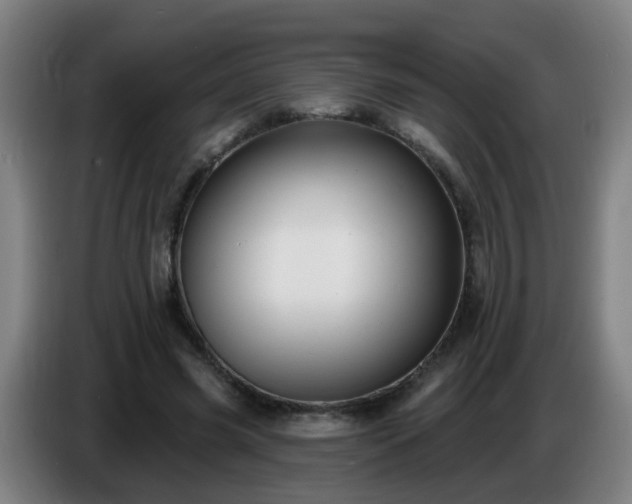 X0000086730541200704201648