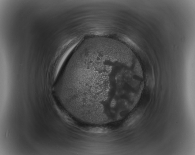 X0000086730542200704201648