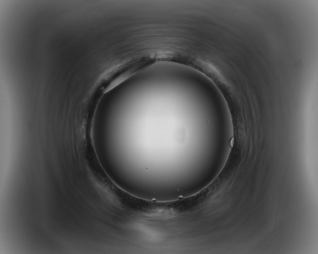 X0000086730543200704201648