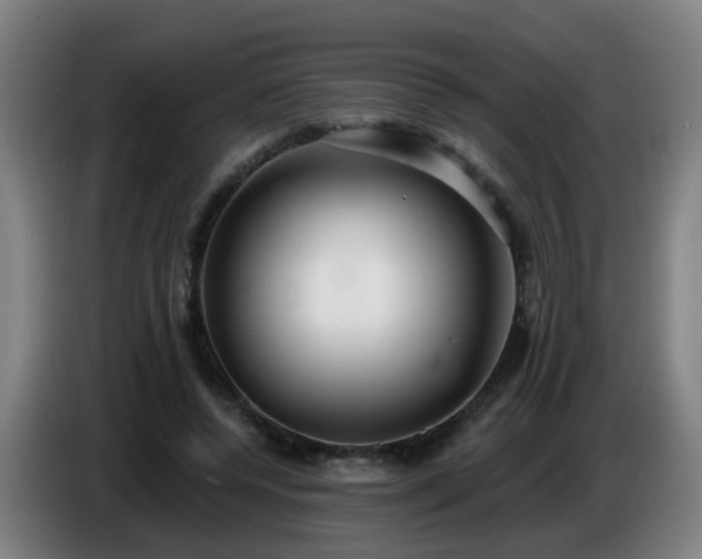 X0000086730544200704201648