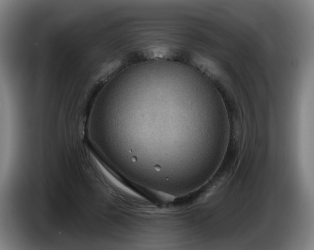 X0000086730545200704201648