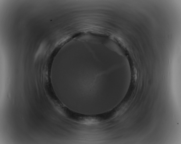 X0000086730547200704201648