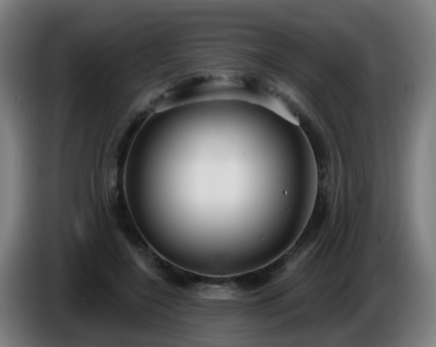 X0000086730548200704201648