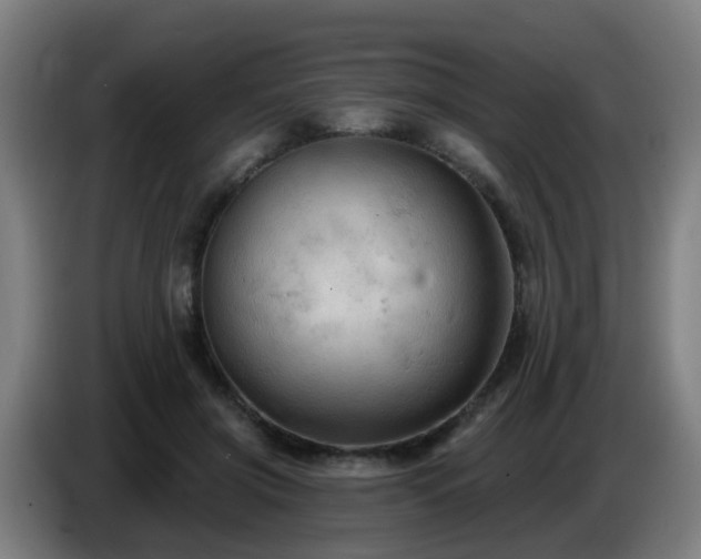 X0000086730549200704201648