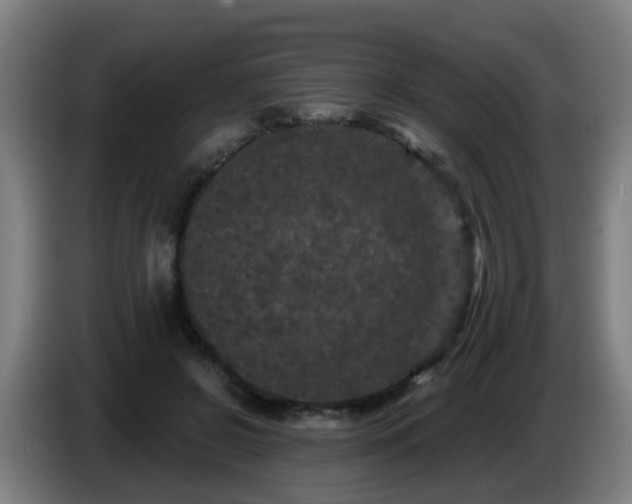 X0000086730550200704201648