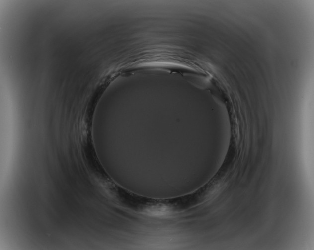 X0000086730551200704201648