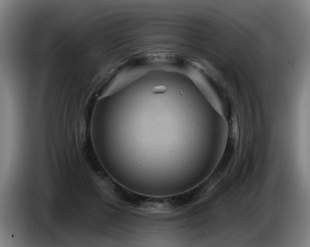 X0000086730552200704201648