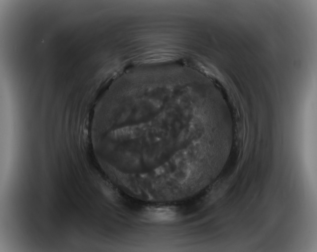 X0000086730553200704201648