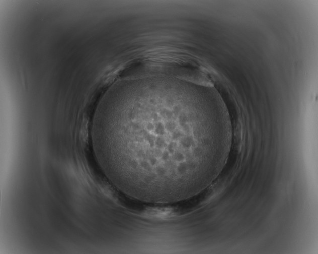 X0000086730554200704201648