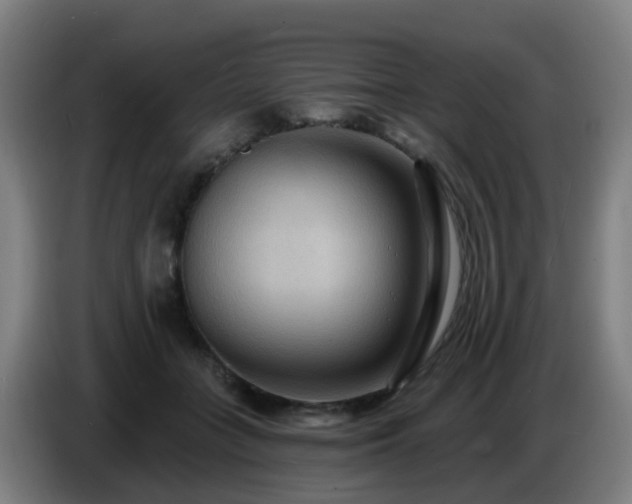 X0000086730555200704201648