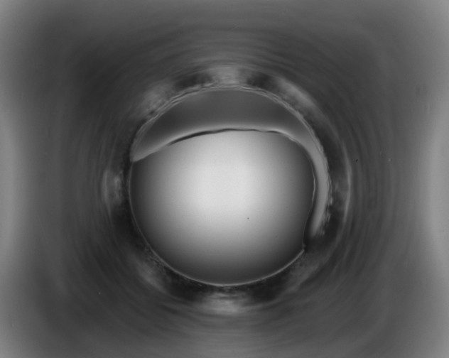 X0000086730556200704201648