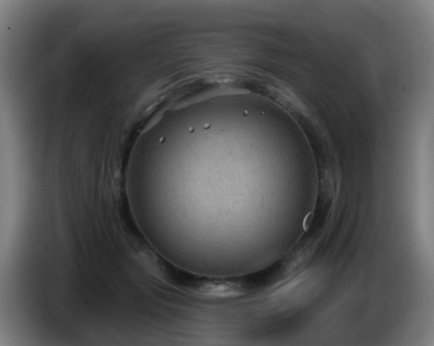 X0000086730557200704201648