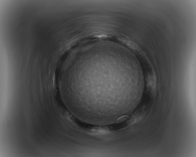 X0000086730559200704201648