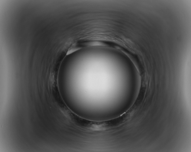 X0000086730560200704201648