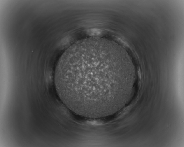 X0000086730561200704201648