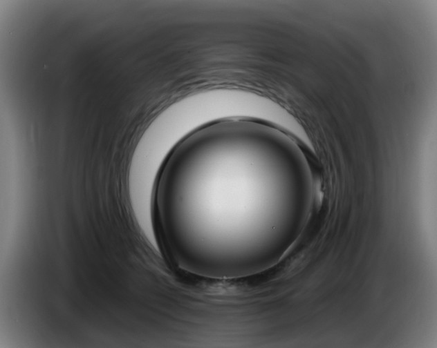 X0000086730562200704201648