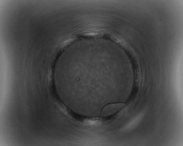 X0000086730563200704201648