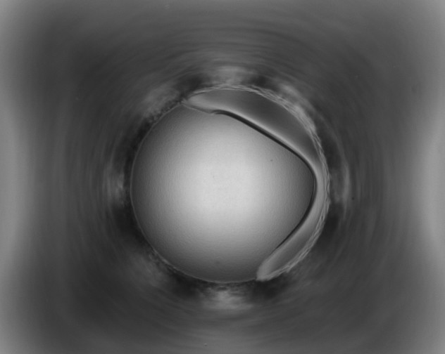 X0000086730564200704201648