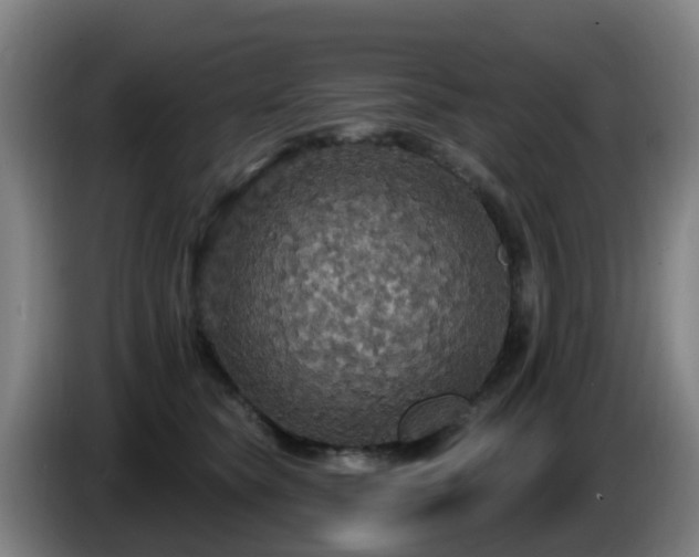 X0000086730565200704201648