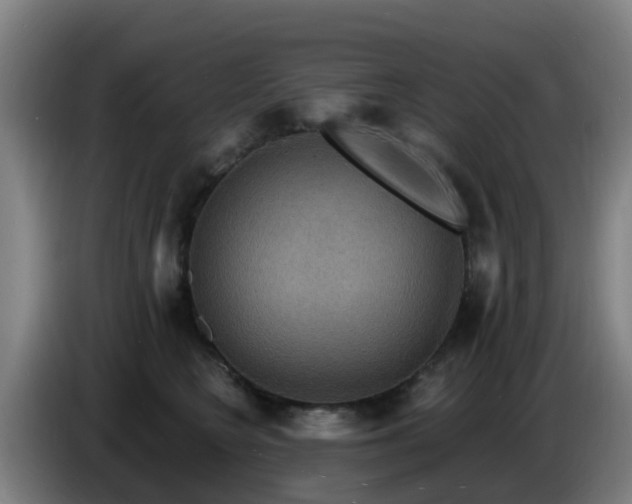 X0000086730566200704201648