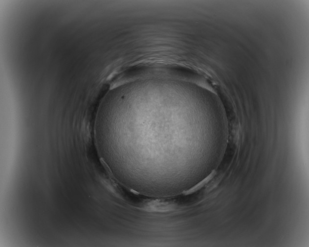 X0000086730568200704201648