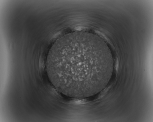 X0000086730569200704201648