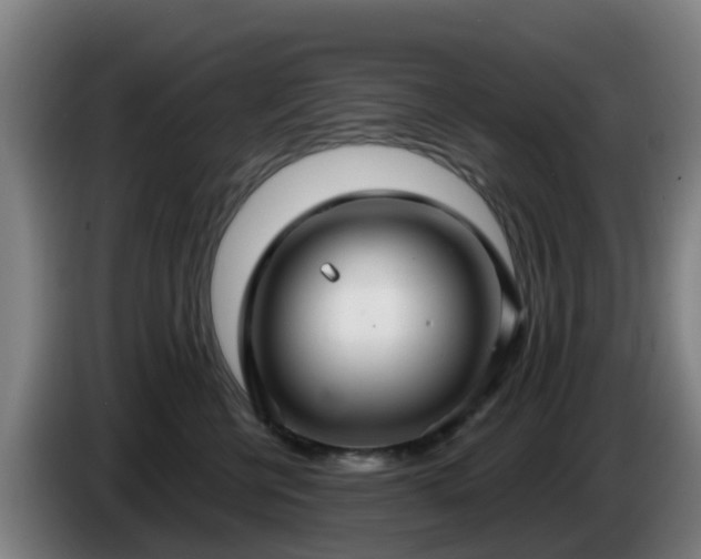 X0000086730570200704201648