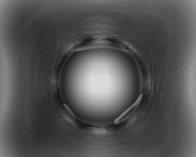 X0000086730572200704201648