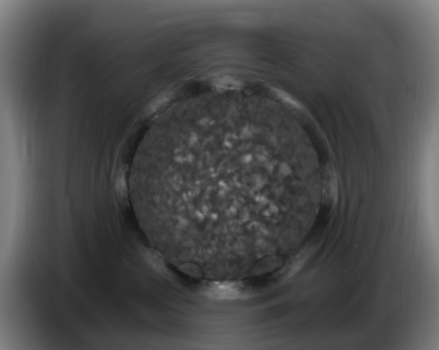 X0000086730573200704201648