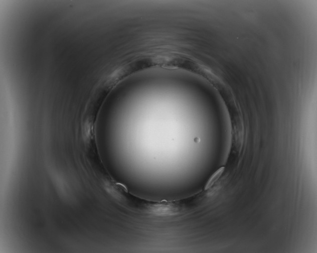 X0000086730574200704201648