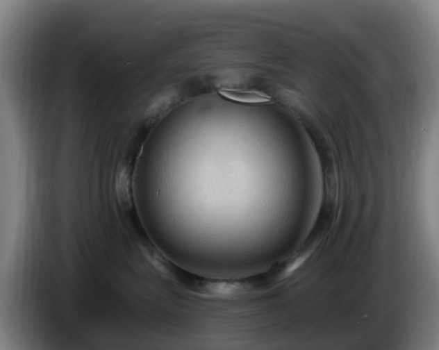 X0000086730575200704201648