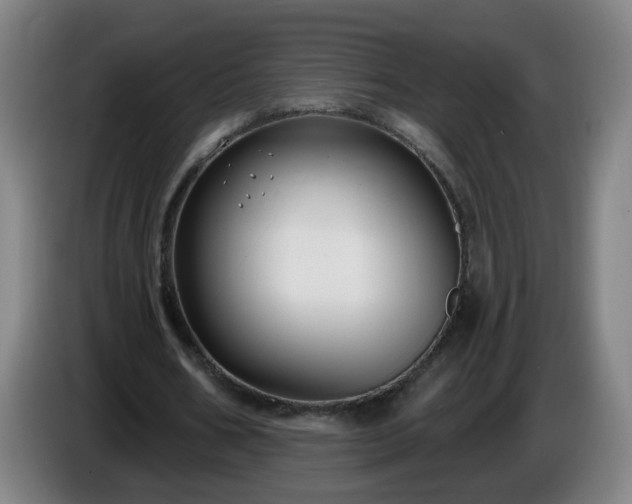 X0000086730578200704201648