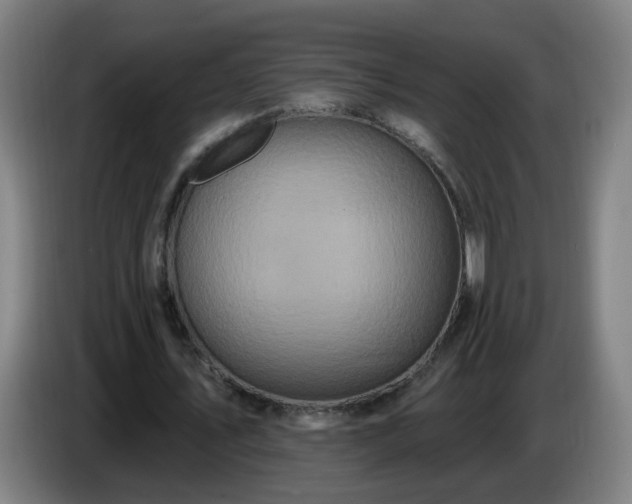 X0000086730579200704201648