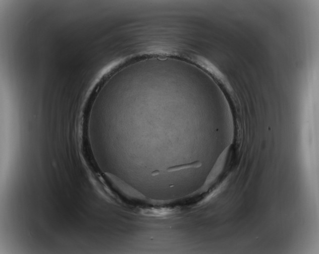 X0000086730580200704201648