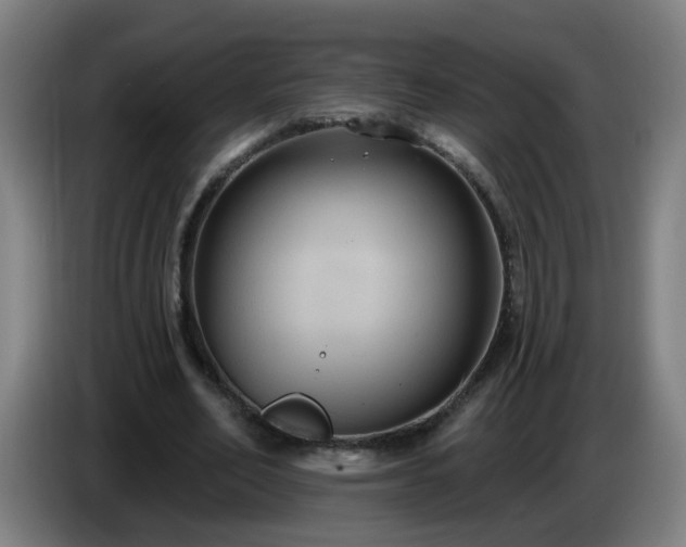 X0000086730582200704201648