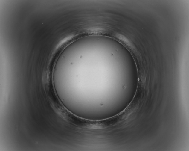 X0000086730583200704201648