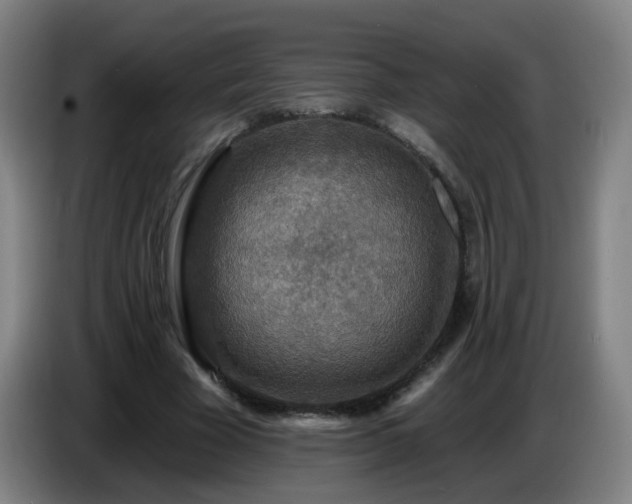 X0000086730585200704201648