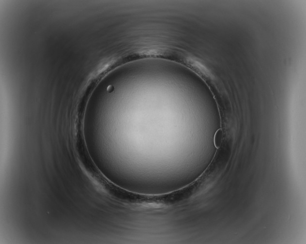 X0000086730586200704201648