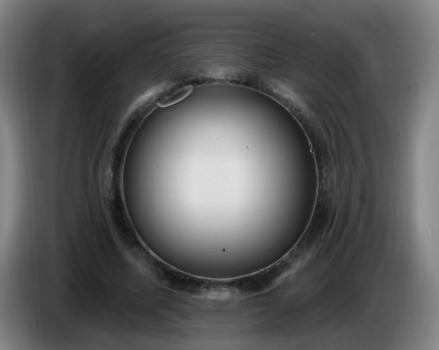 X0000086730587200704201648