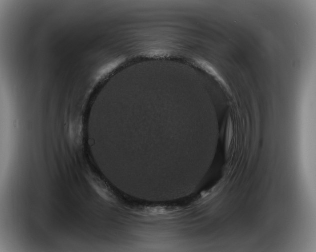 X0000086730588200704201648