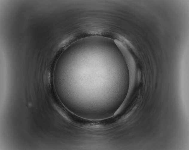 X0000086730589200704201648