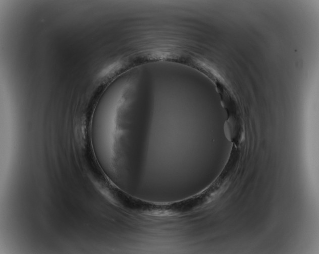 X0000086730590200704201648