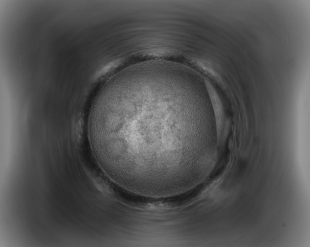 X0000086730591200704201648